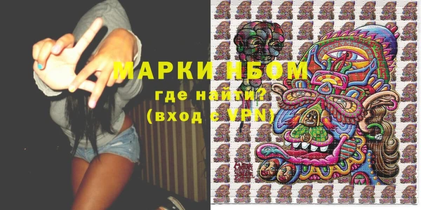 гашик Майский