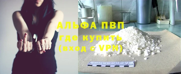 гашик Майский