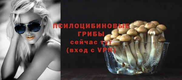 гашик Майский
