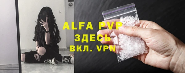 гашик Майский