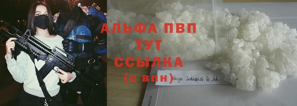 гашик Майский
