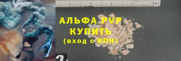 гашик Майский
