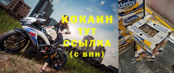 гашик Майский