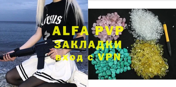 гашик Майский