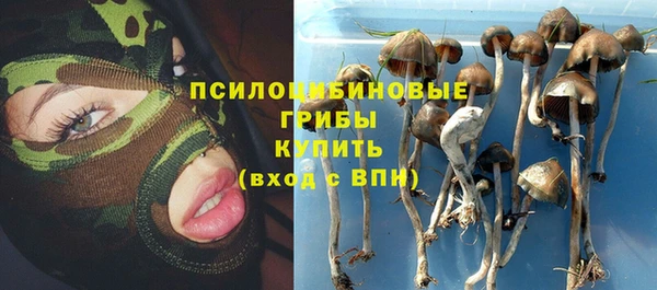 гашик Магадан