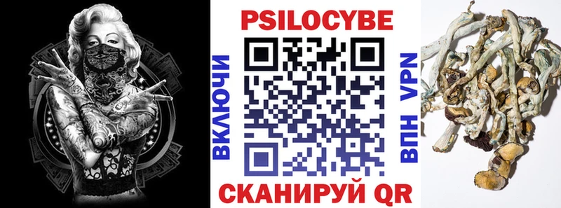 Купить где  Кувшиново  Псилоцибиновые грибы Psilocybine cubensis 