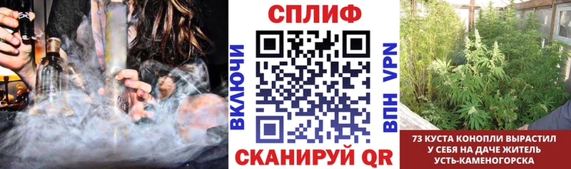 Конопля VHQ  Купить закладки  Кувшиново 